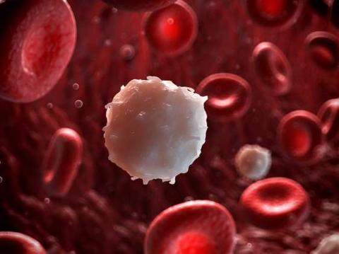 ما هي أعراض سرطان الدم اللوكيميا والغدد الليمفاوية والمايلوما المتعددة