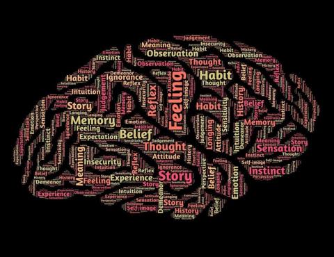 كم تبلغ سعة ذاكرة دماغ الإنسان؟ الإجابة ستصدمك!