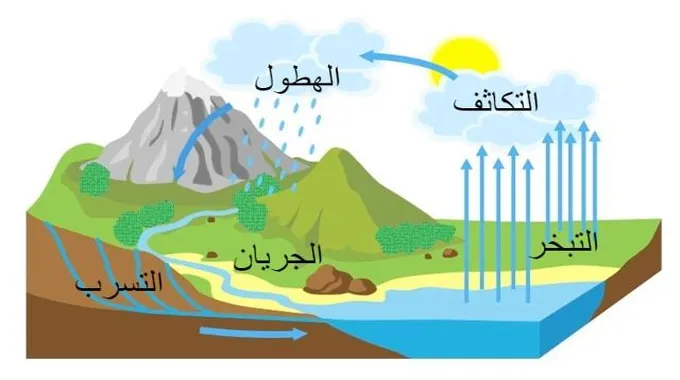 ما هي دورة حياة المياه؟