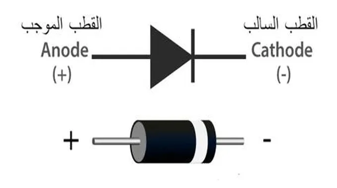 ما هو الدايود (Diode)؟ وما هي أنواعه